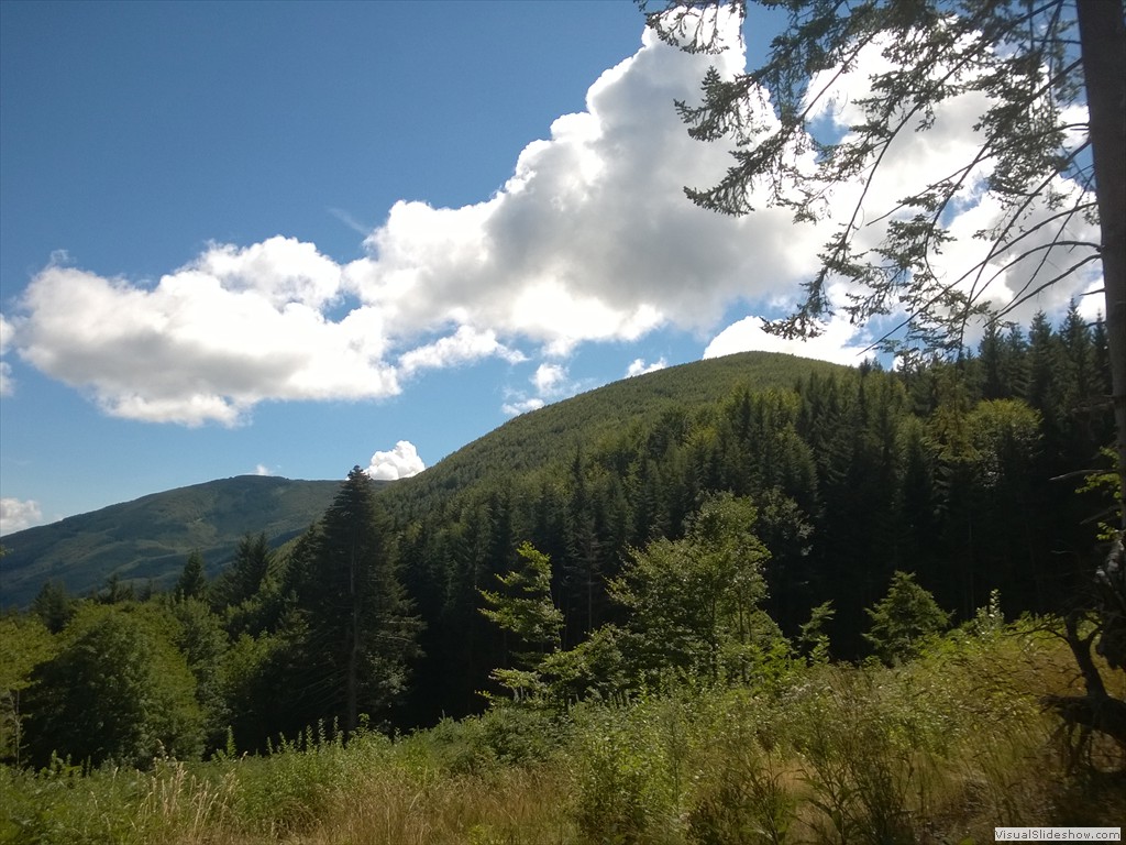 WP_20150820_11_47_33_Pro