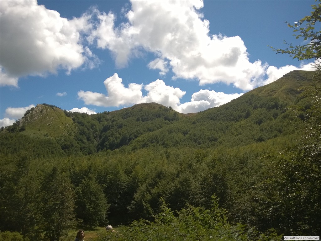 WP_20150820_12_38_35_Pro