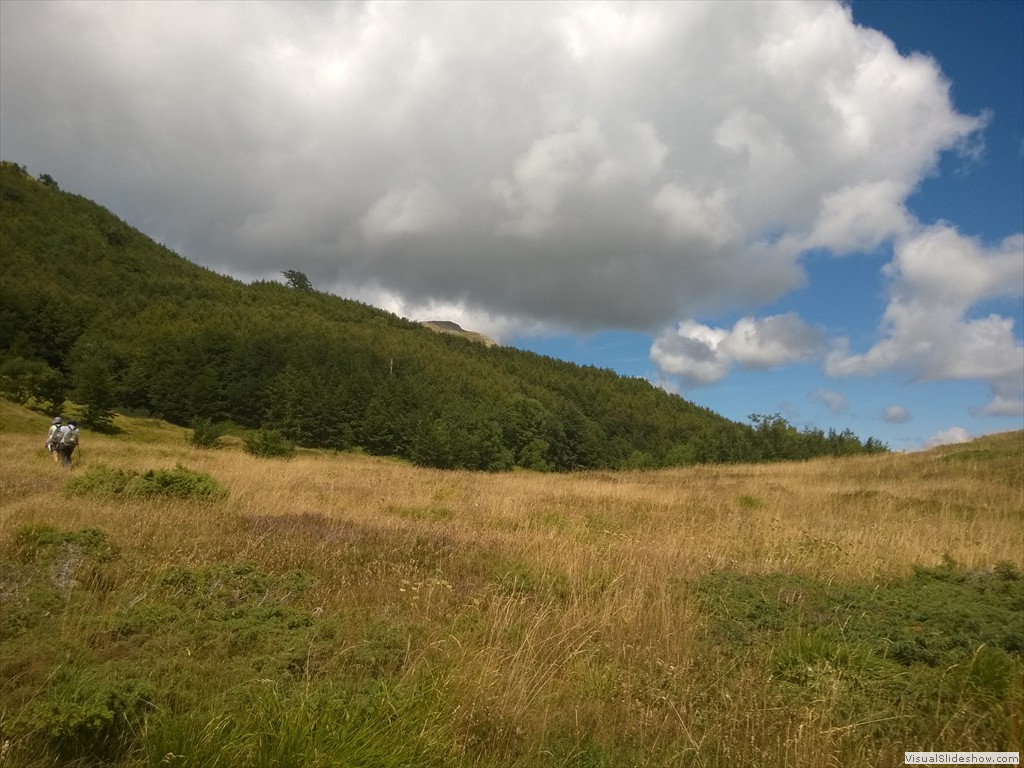 WP_20150820_12_49_38_Pro