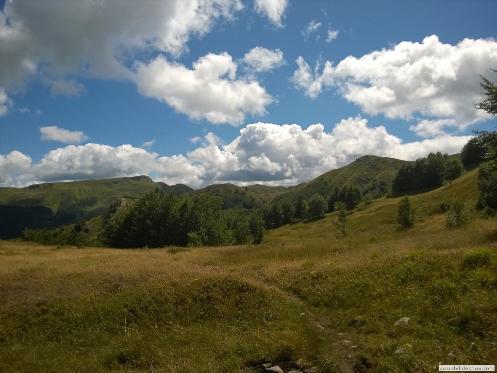 WP_20150820_12_51_57_Pro
