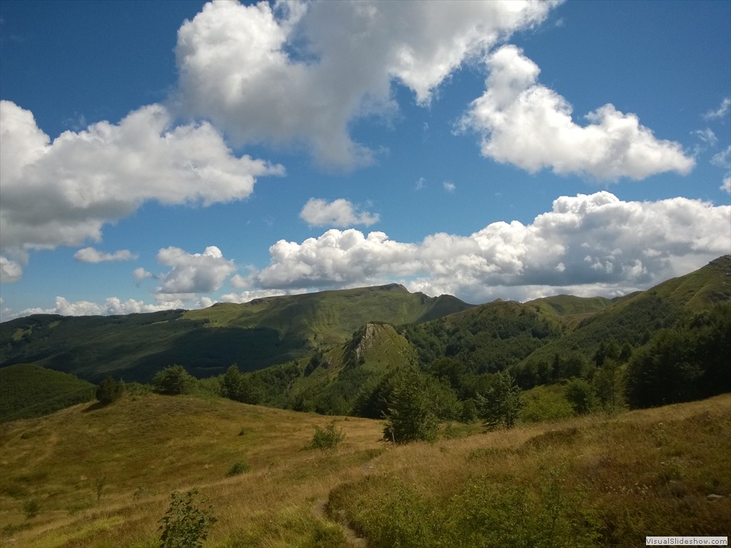 WP_20150820_12_55_29_Pro