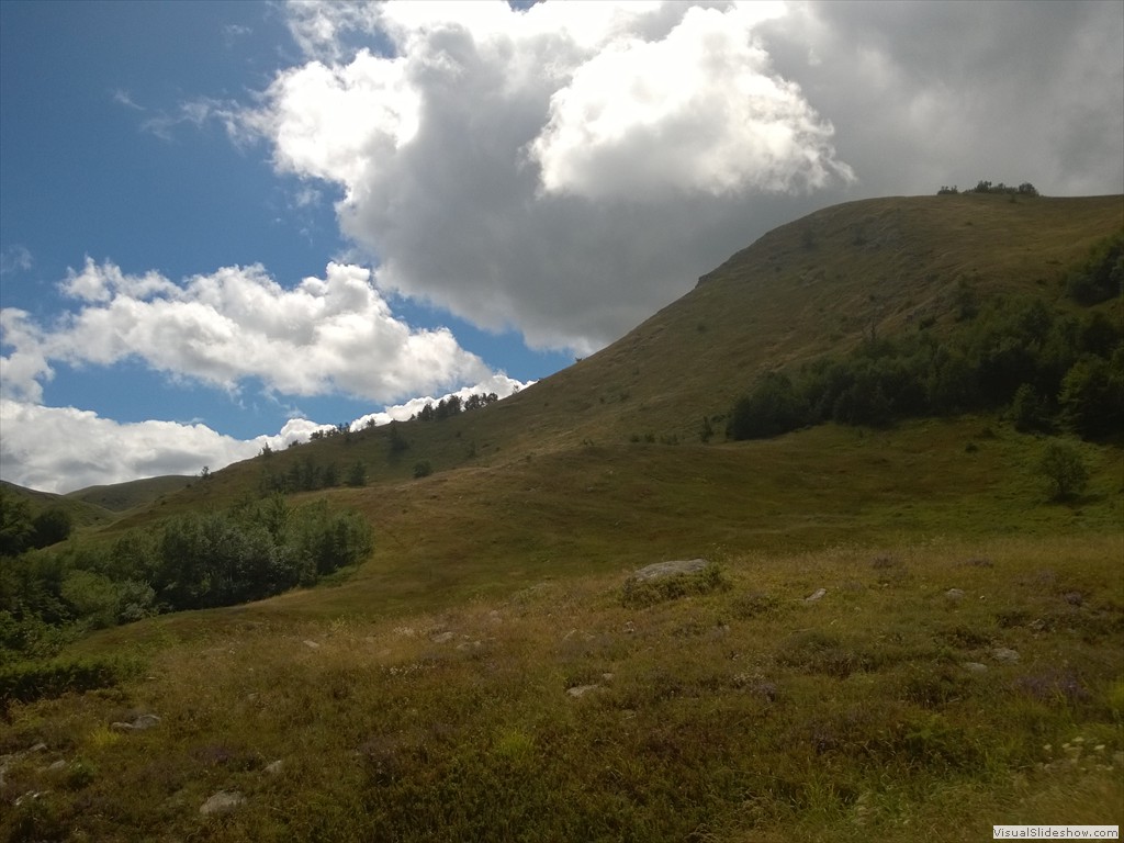 WP_20150820_12_55_34_Pro