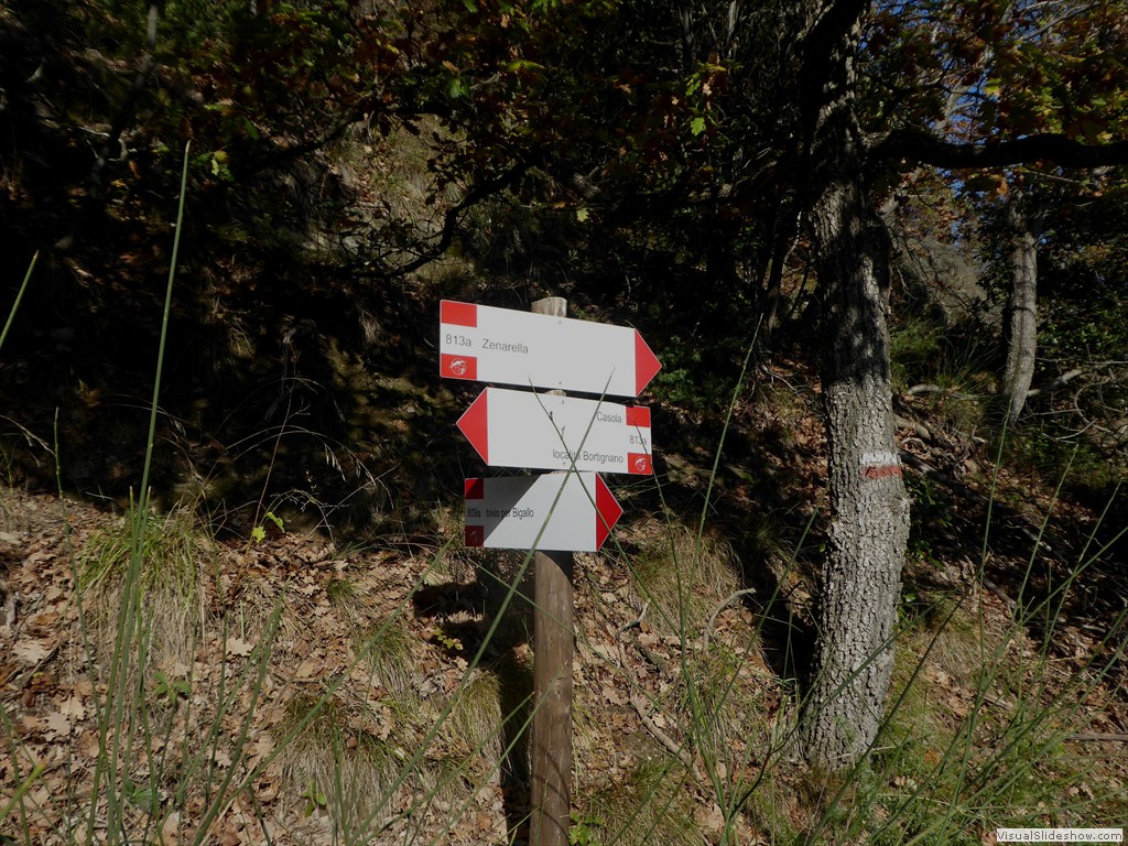 P1020047