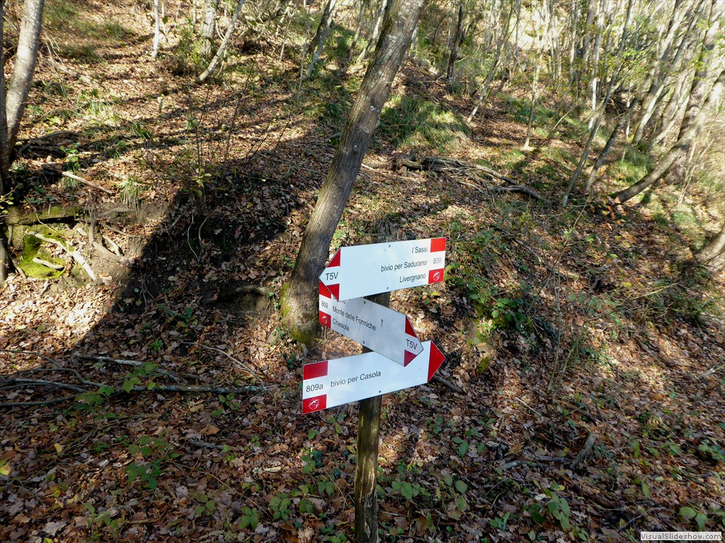 P1020053