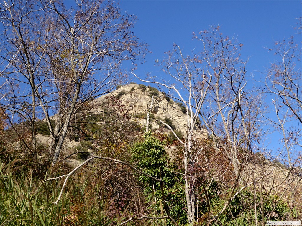 P1020056