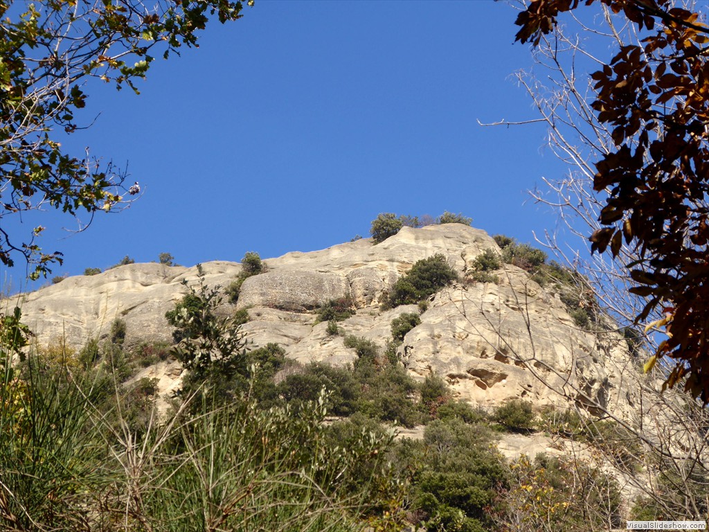 P1020058