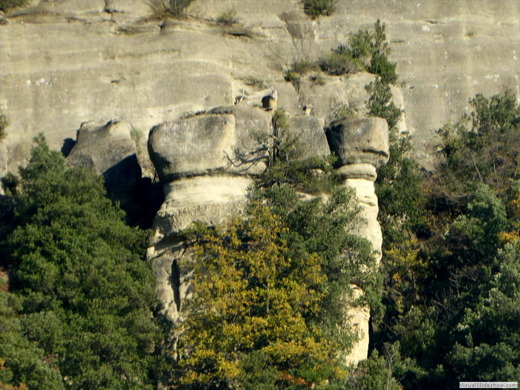 P1020071