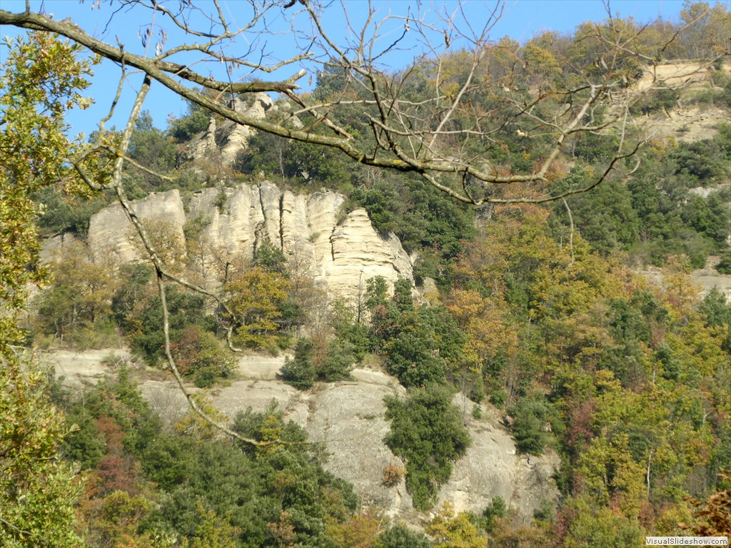 P1020072