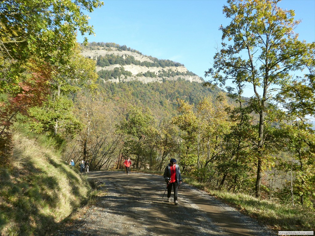 P1020073