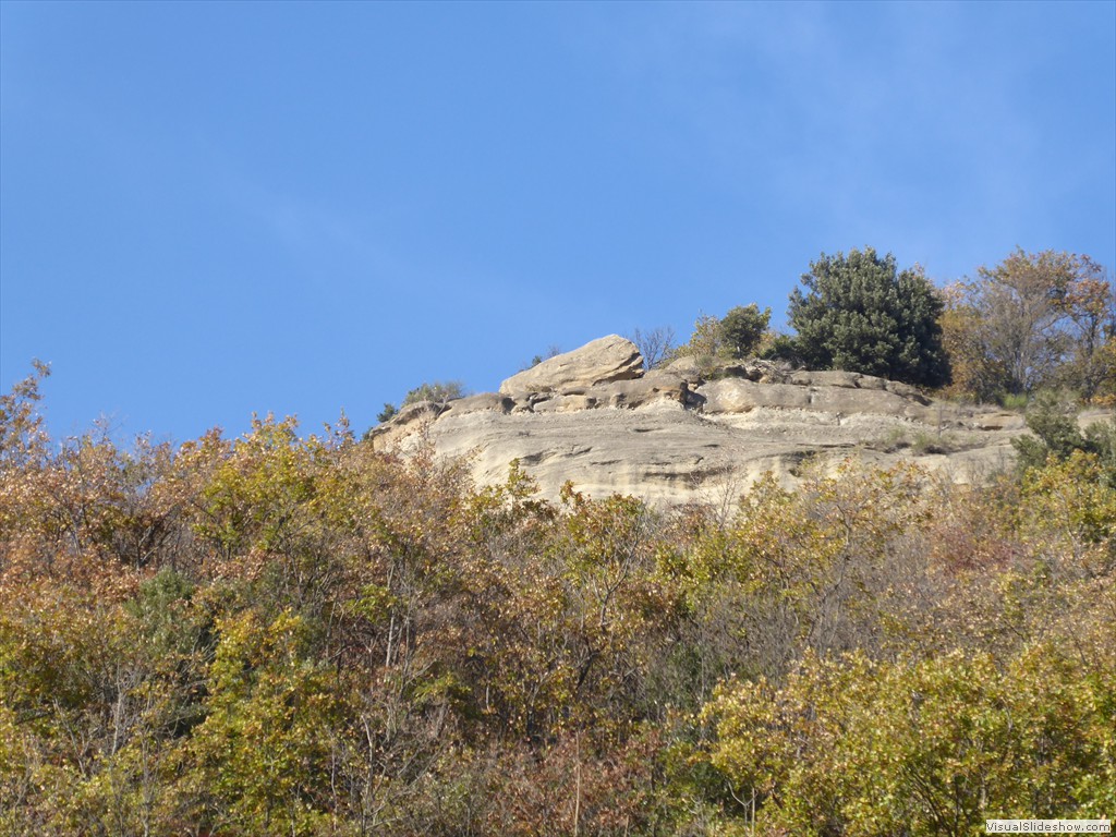 P1020074