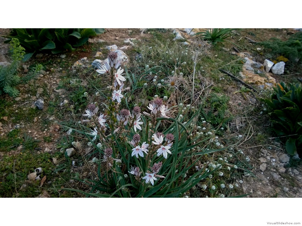 WP_20160213_069