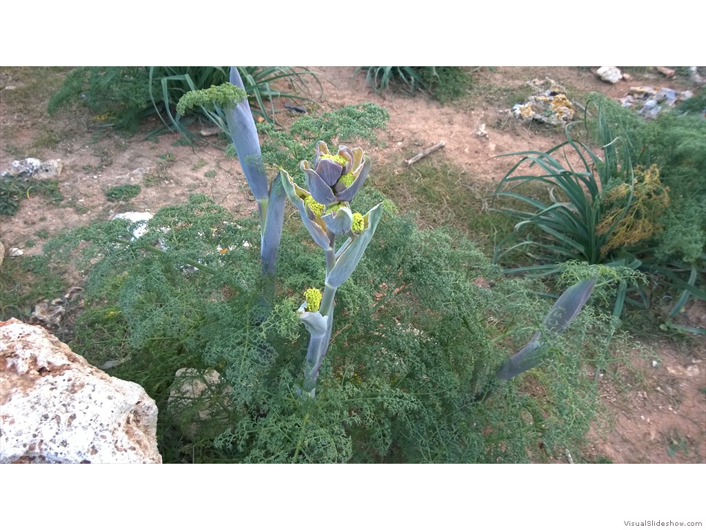WP_20160213_070