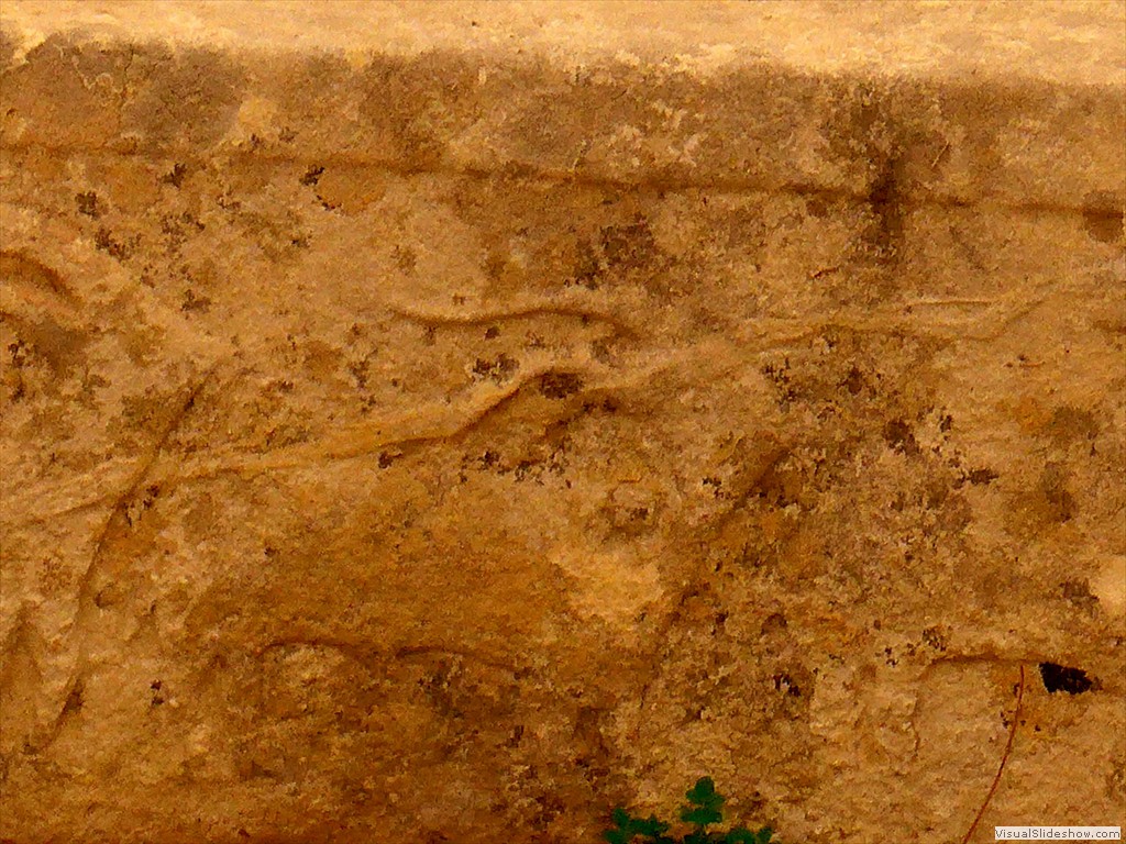 P1110079