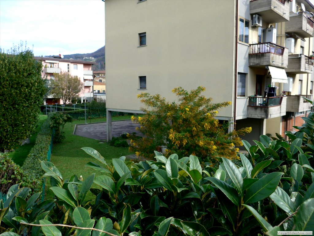 P1110101
