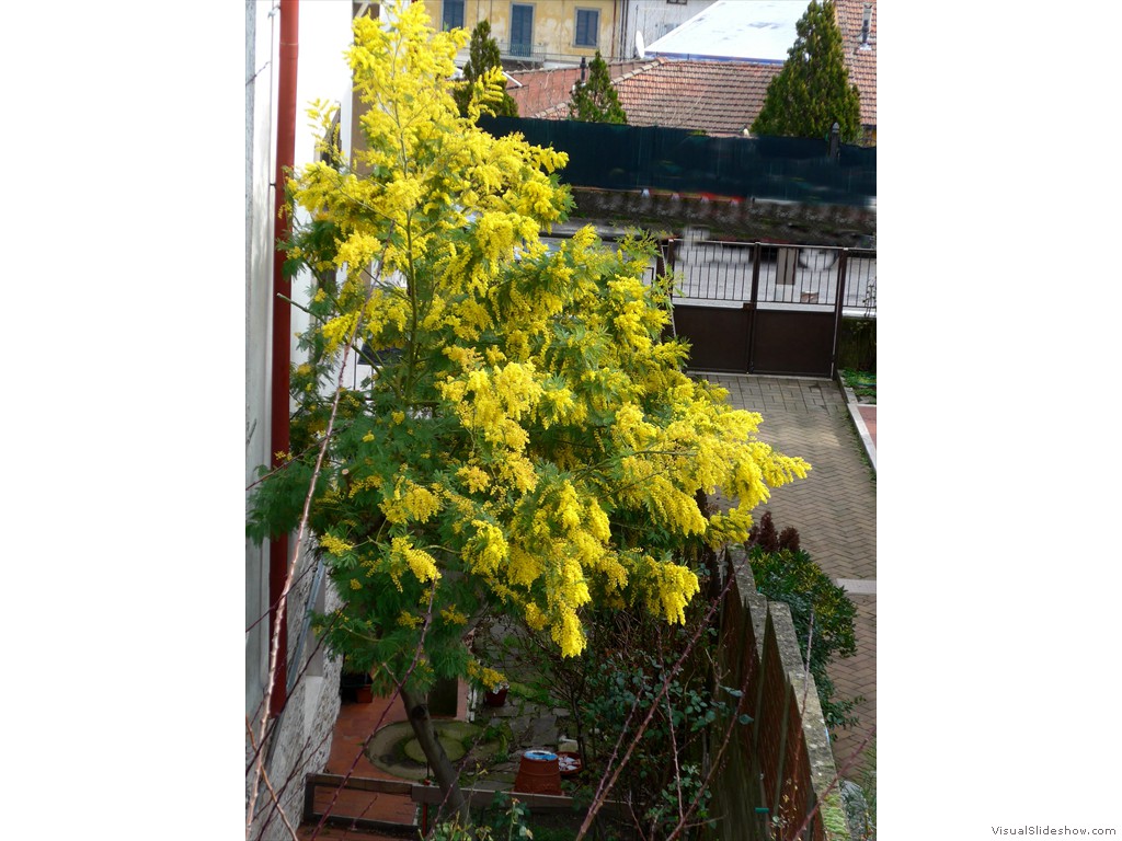 P1110103
