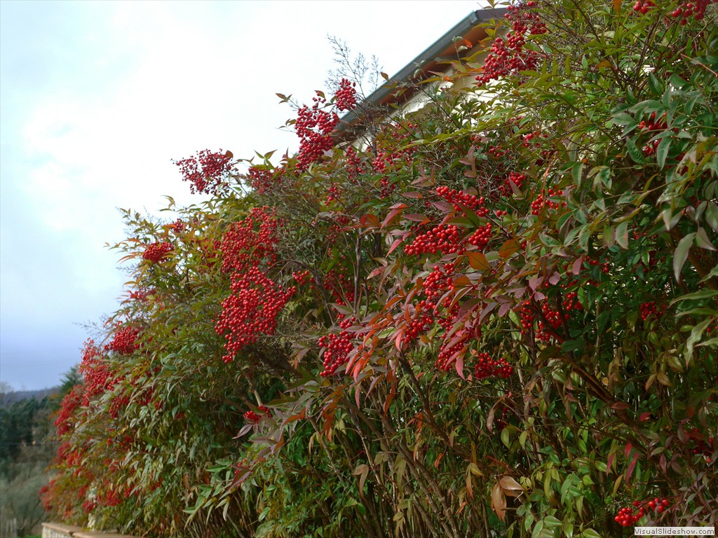 P1110107