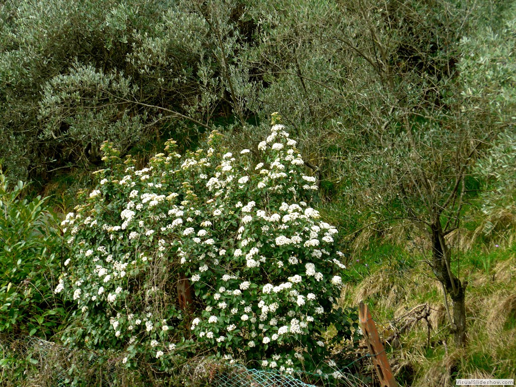 P1110109