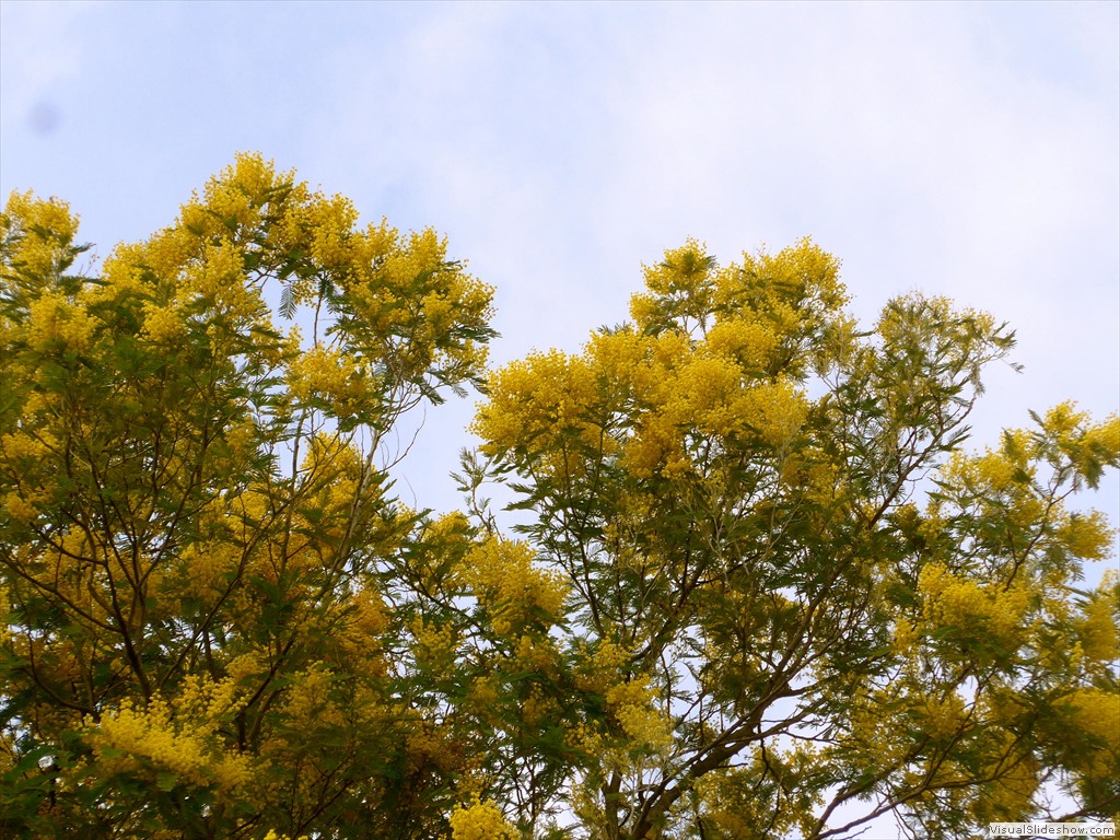 P1110128