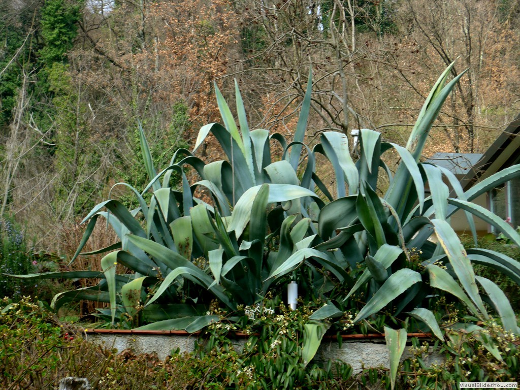 P1110151