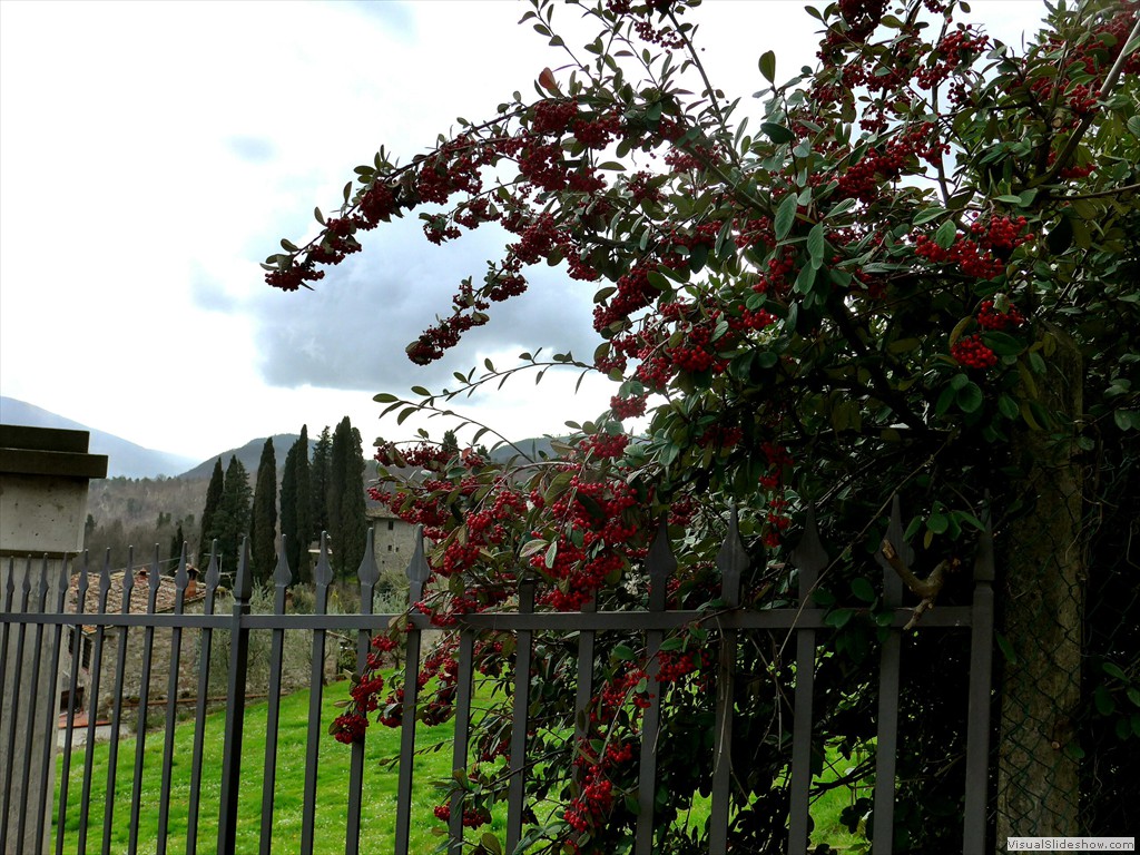P1110152