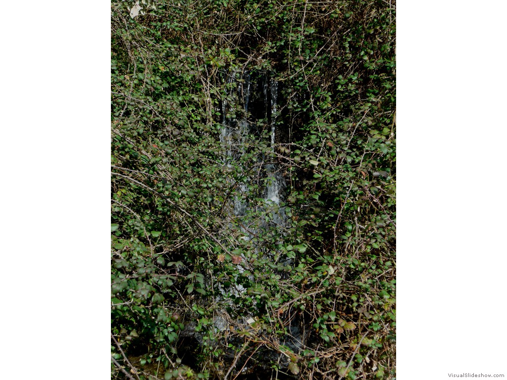 P1110153