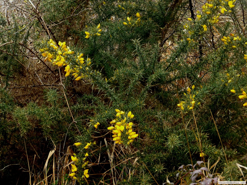 P1110167