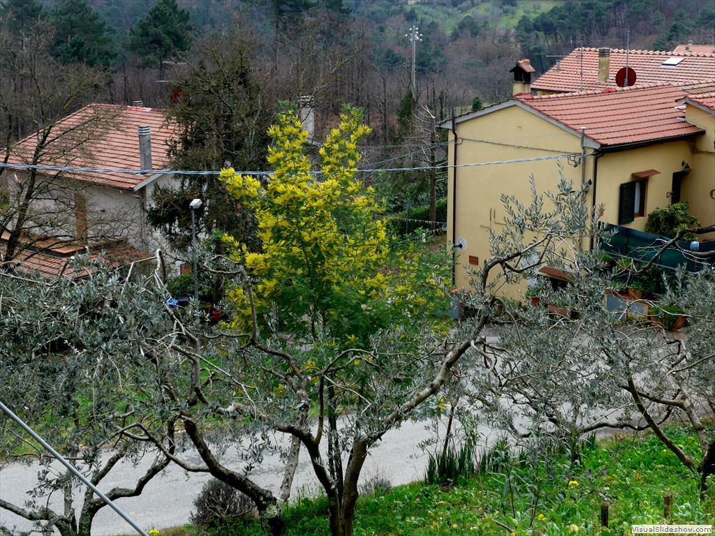 P1110168