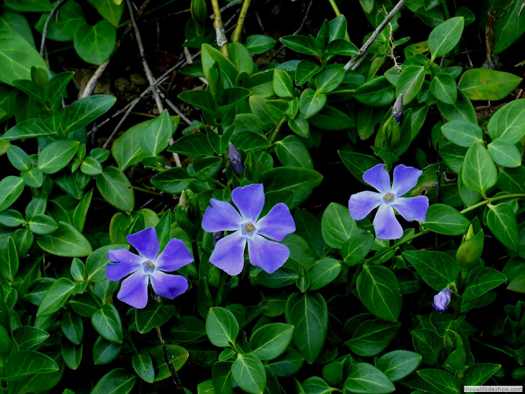 P1110170