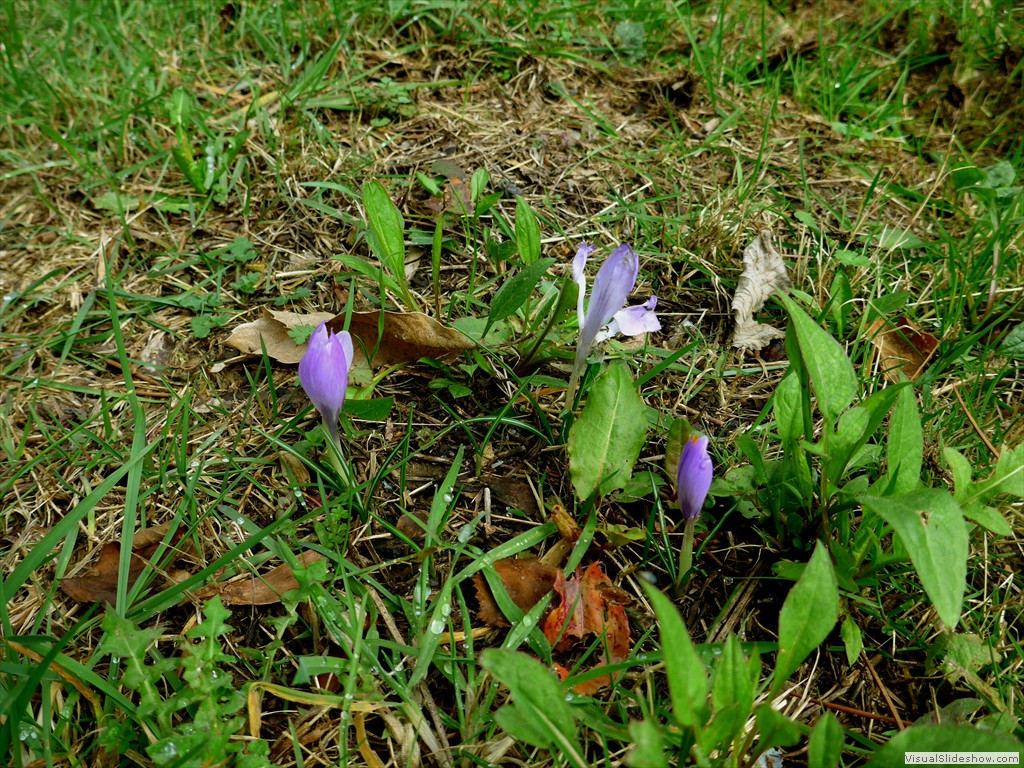 P1110172