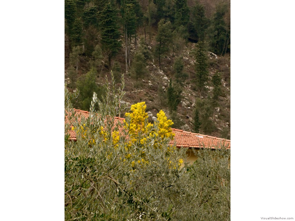 P1110182