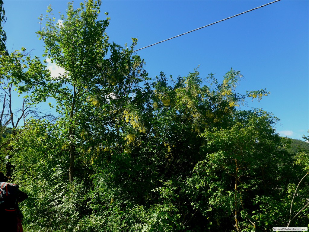 P1120690