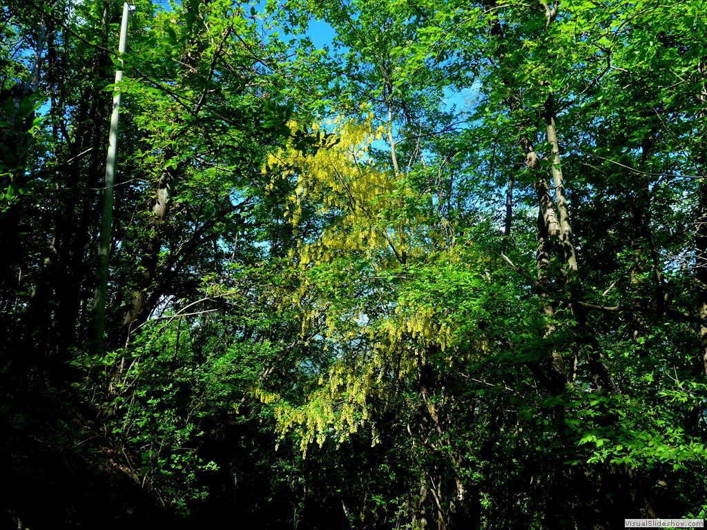 P1120702
