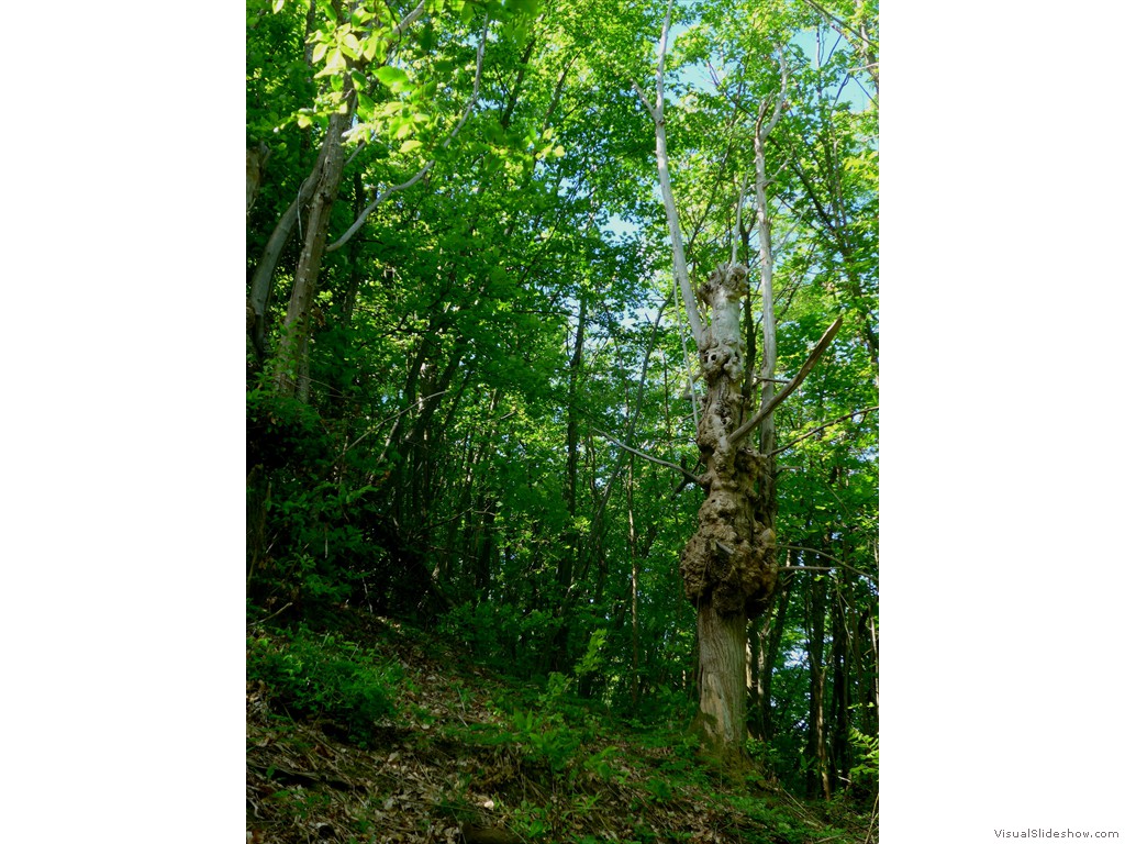 P1120703