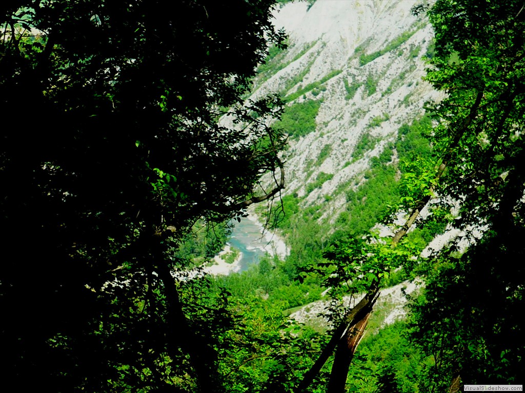 P1120725