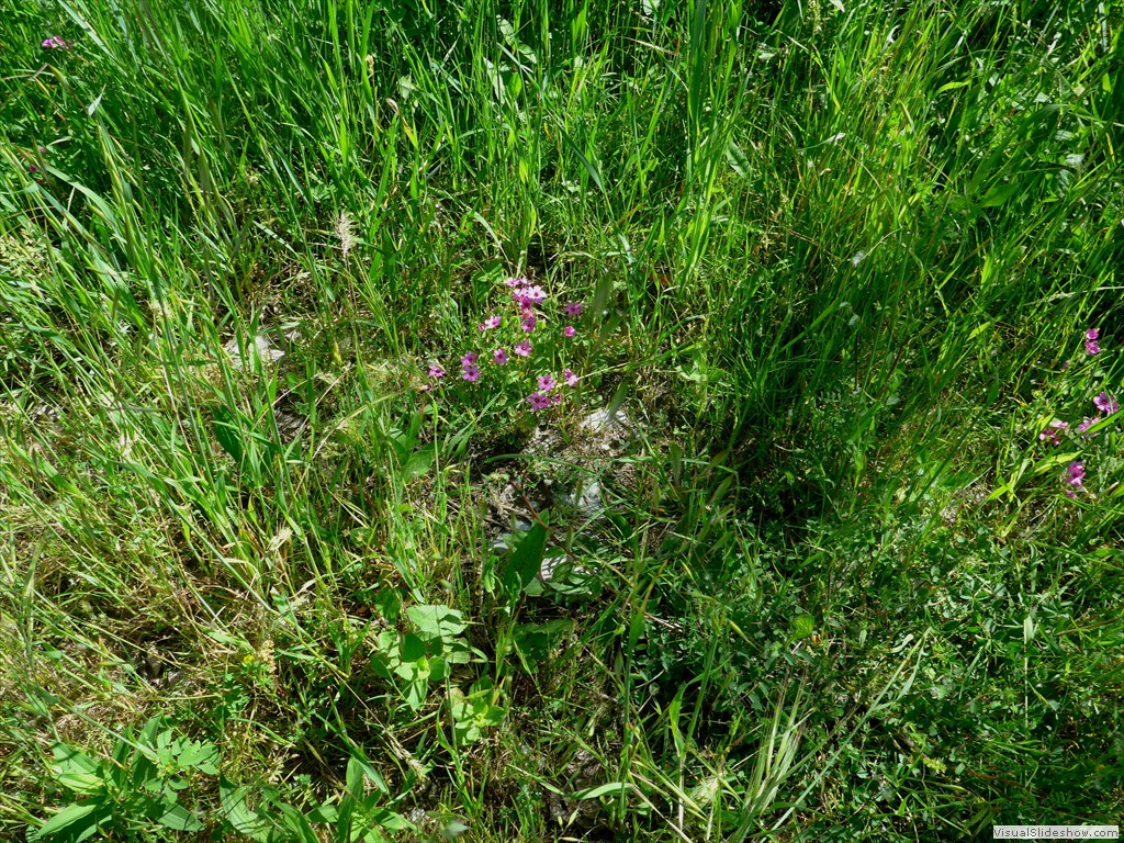 P1120764