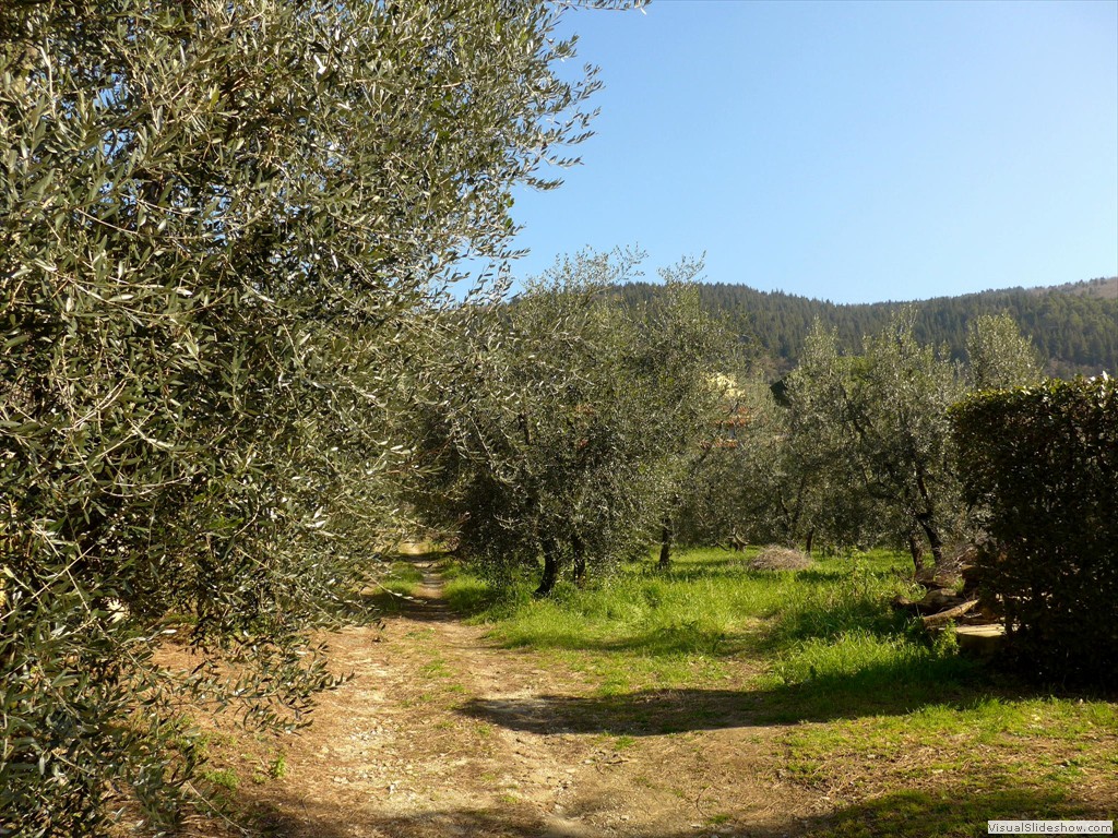 P1030655