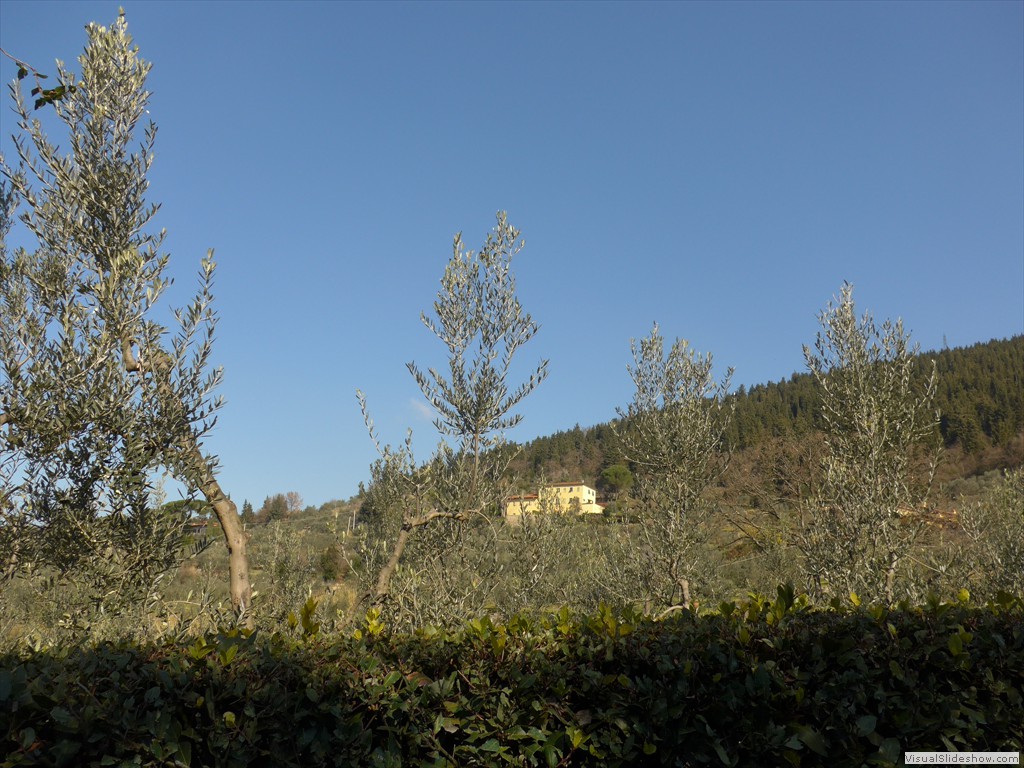 P1030663