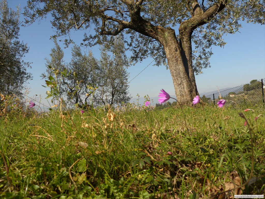 P1030664