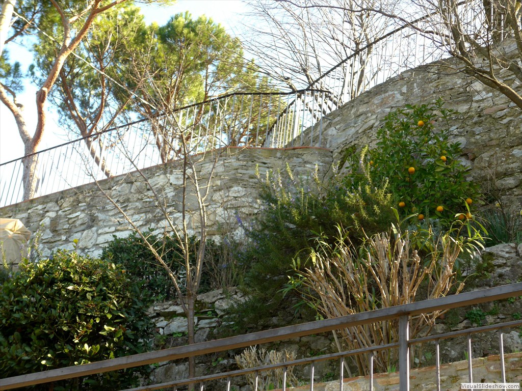 P1030665