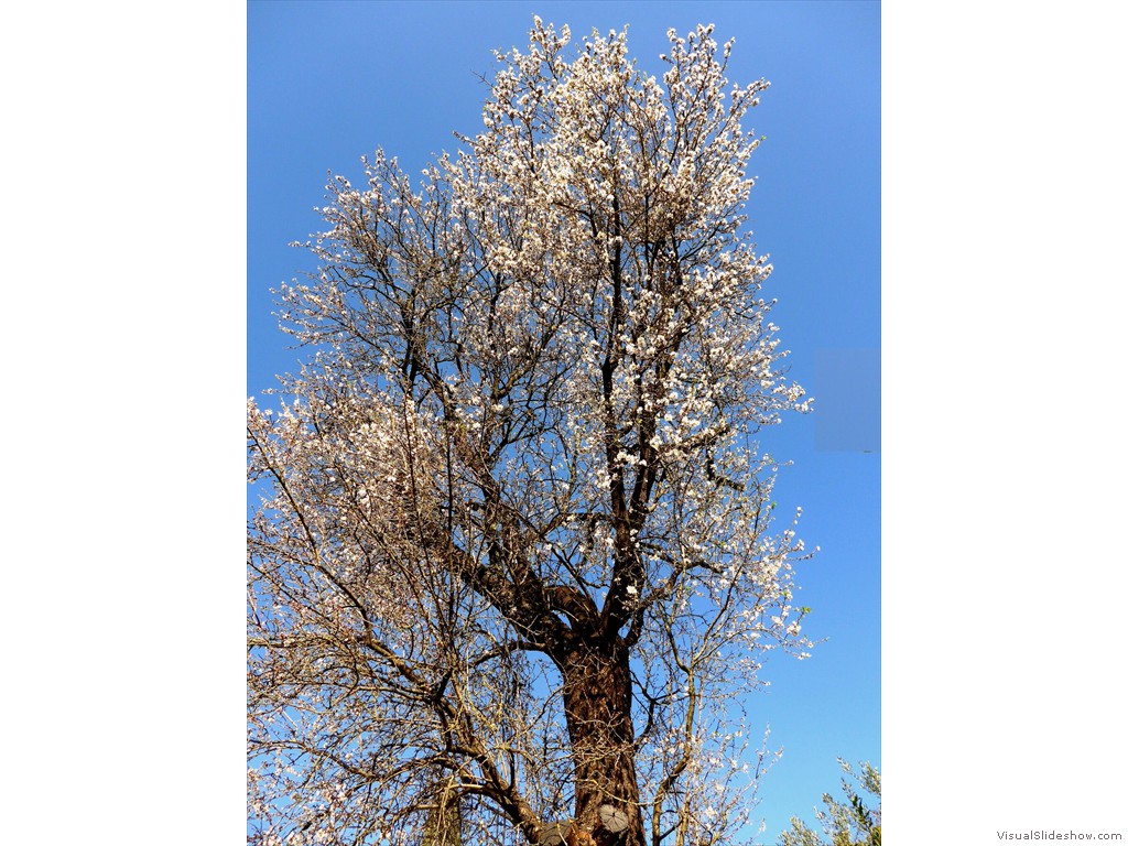 P1030670