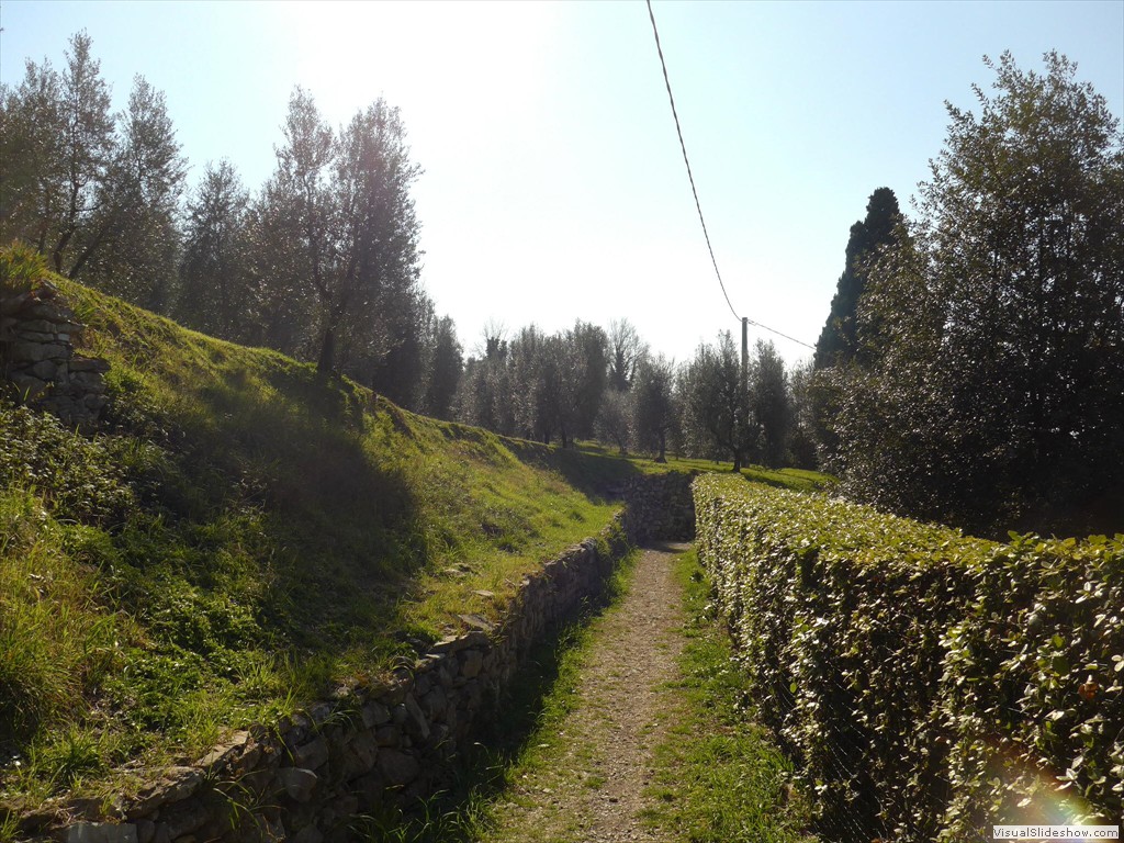 P1030672