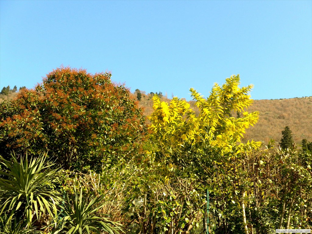 P1030693
