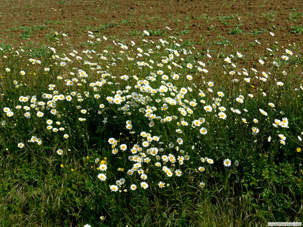 P1040507