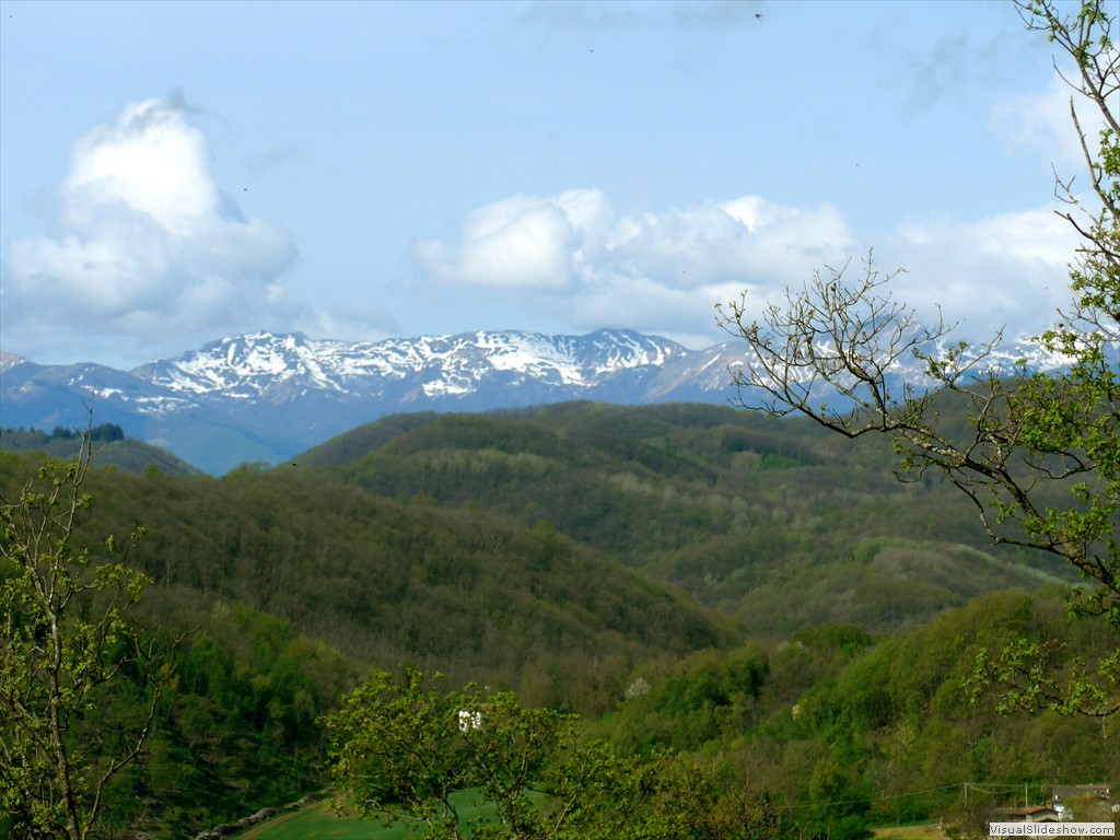 P1040509
