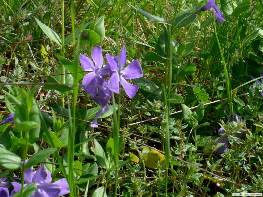 P1040517
