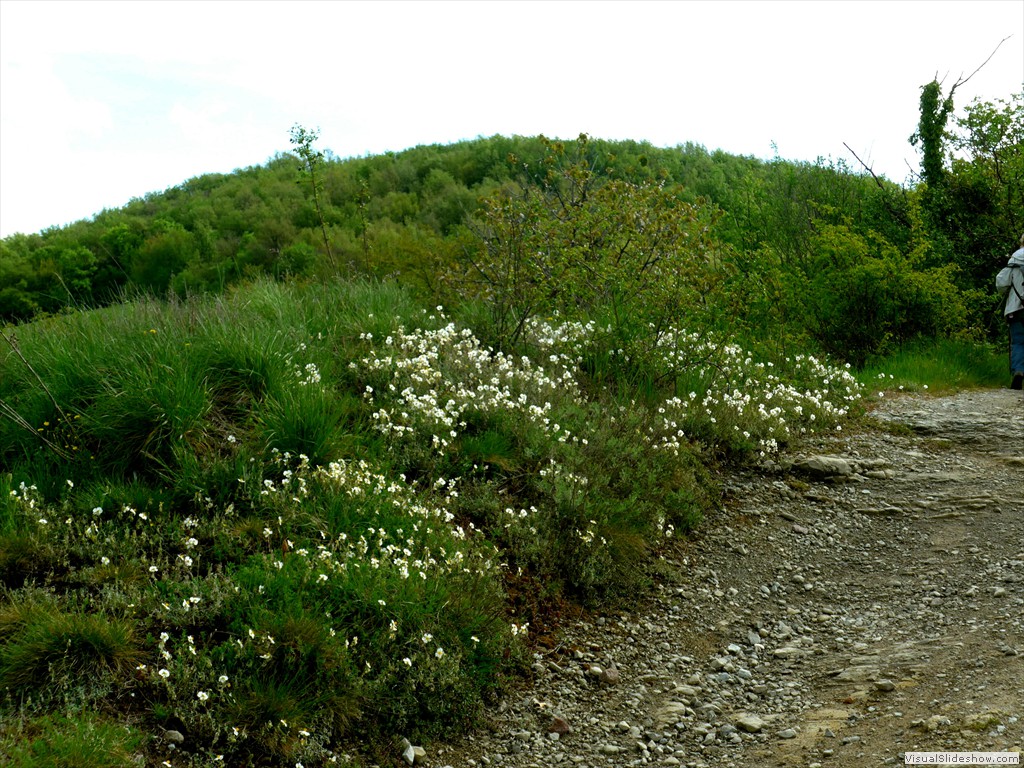 P1040518