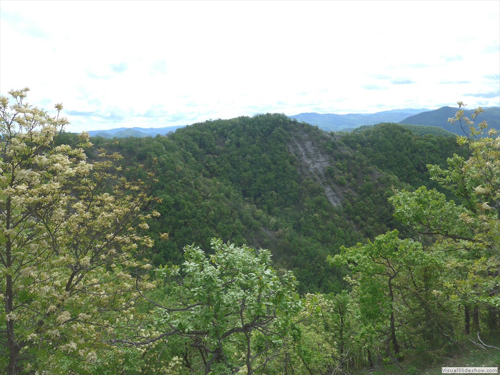 P1040526