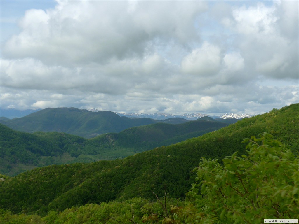 P1040528