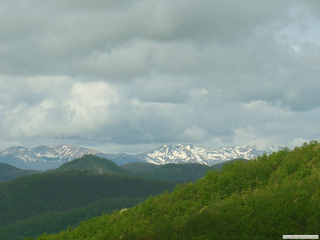 P1040529