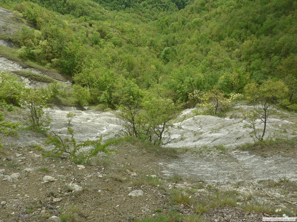 P1040540